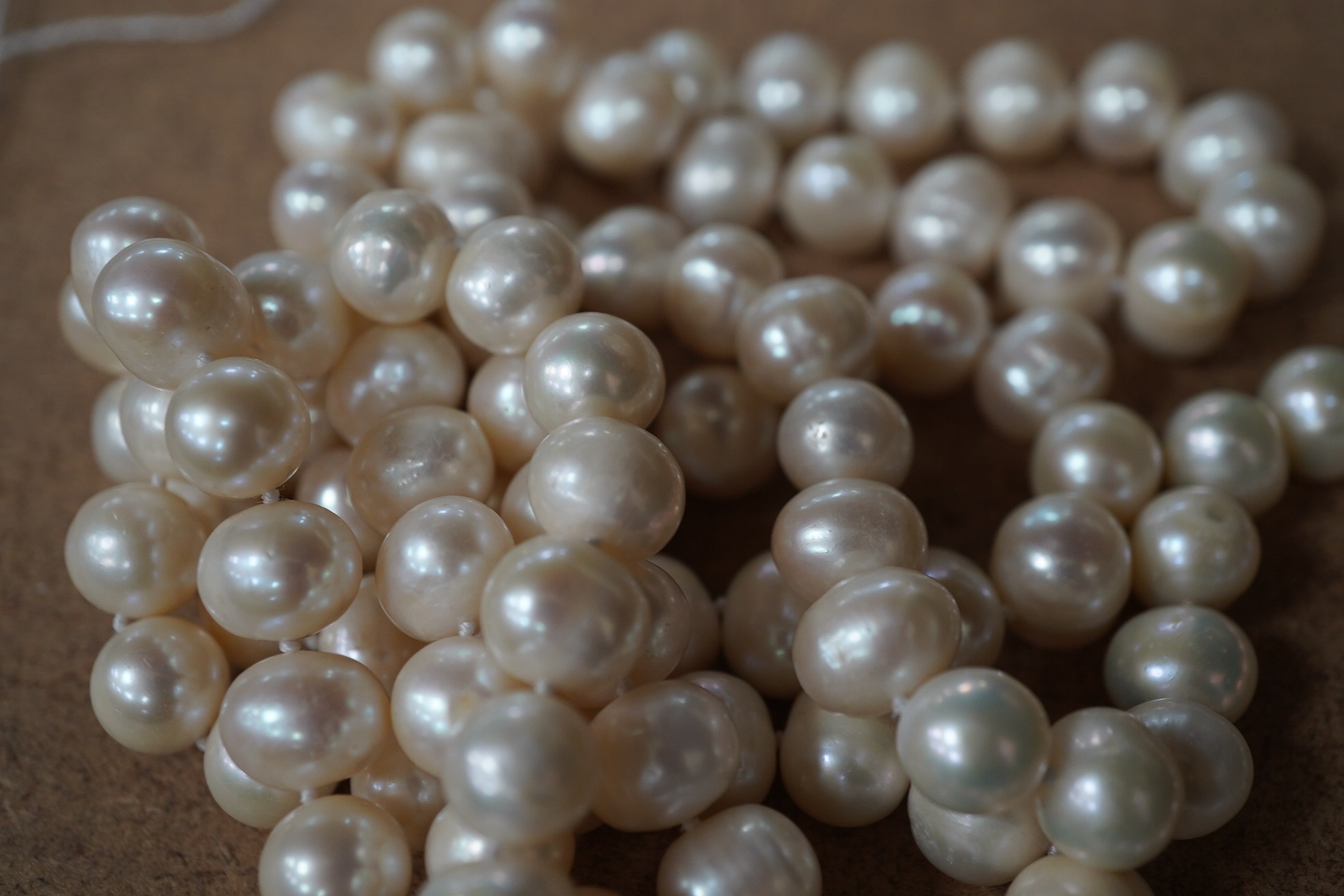 A modern long single strand cultured pearl necklace, with paste set white metal 'double C' clasps, 124cm. Condition - fair